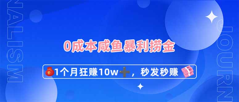 （14257期）0成本闲鱼暴利捞金，1个月狂赚10W+，秒发秒赚新玩法-青云资源站