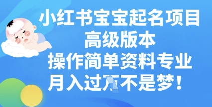 小红书宝宝起名项目高级版本，操作简单，资料专业，月入过W-青云资源站