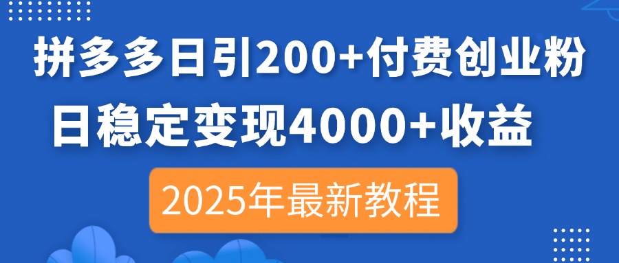 （14217期）拼多多日引200+付费创业粉，日稳定变现4000+收益，2025年最新教程-青云资源站