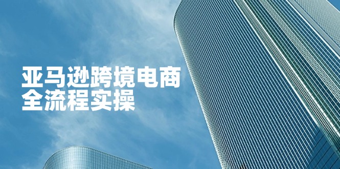 （14252期）亚马逊跨境电商全流程实操，教你从零开始，掌握店铺运营与广告技巧-青云资源站