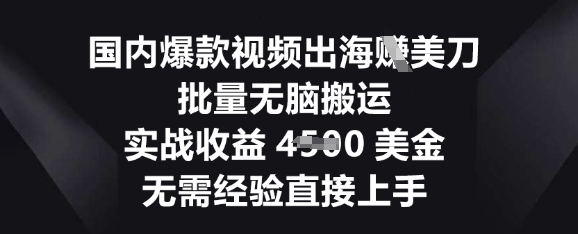 国内爆款视频出海挣美刀，批量无脑搬运，实战收益4.5k，无需经验直接上手-青云资源站