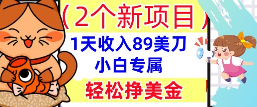 2个新项目，轻松挣美金， 1天收入89美刀，小白专属，干货分享-青云资源站