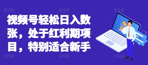 视频号轻松日入数张，处于红利期项目，特别适合新手-青云资源站