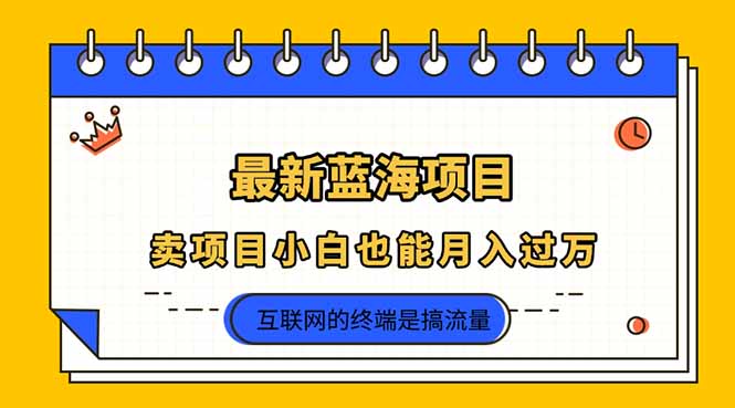 （14289期）2025年最新蓝海项目，卖项目小白也能月入过万-青云资源站