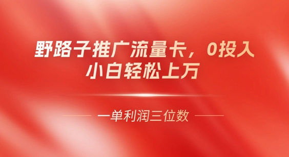 0门槛推广流量卡，一单收益上百，0投入，小白月入过W-青云资源站