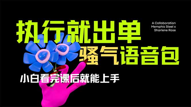 （14170期）爆火全网的开车导航骚气语音包,只要执行就出单，小白看完课程就能实操...-青云资源站