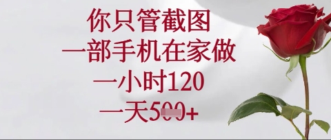 你只管截图，一部手机在家操作，一小时120.一天5张【揭秘】-青云资源站